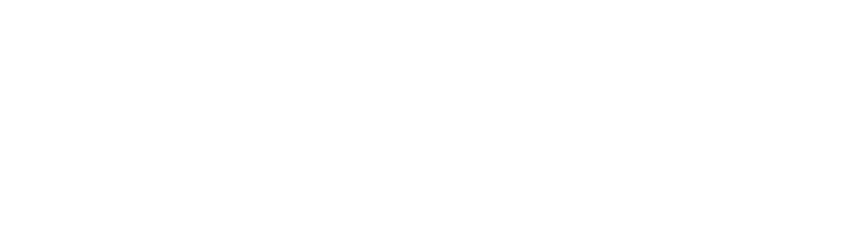 museum of illusions santa monica logo
